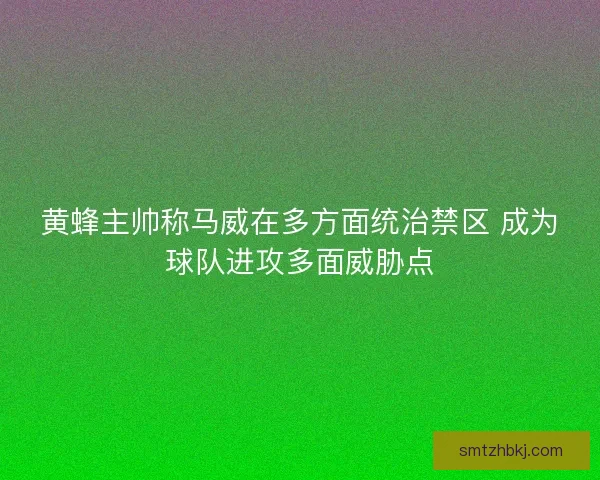 黄蜂主帅称马威在多方面统治禁区 成为球队进攻多面威胁点